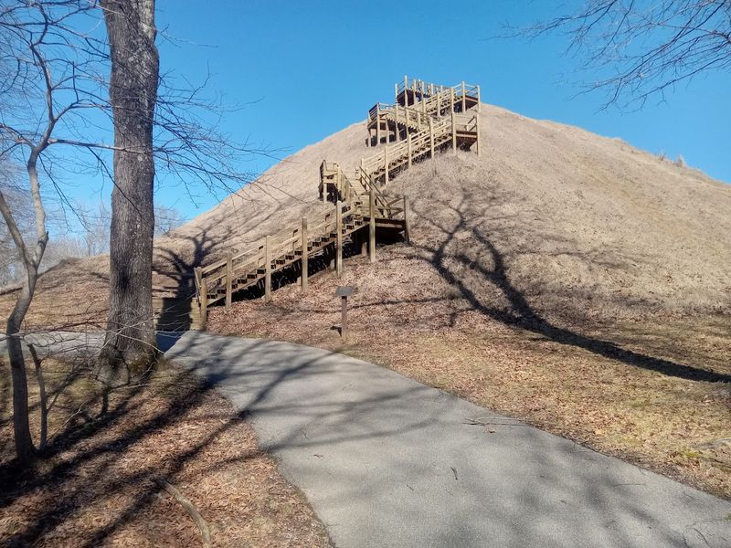 Why These Mounds Were Built