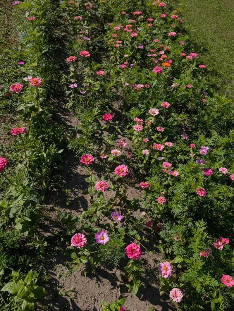 Planning Tips For Your Day