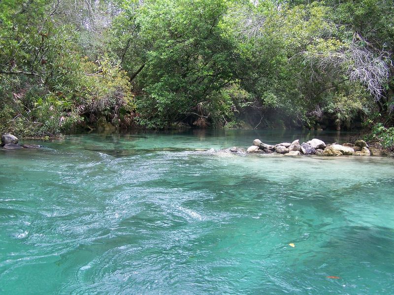 Weeki Wachee Springs State Park (Spring Hill)
