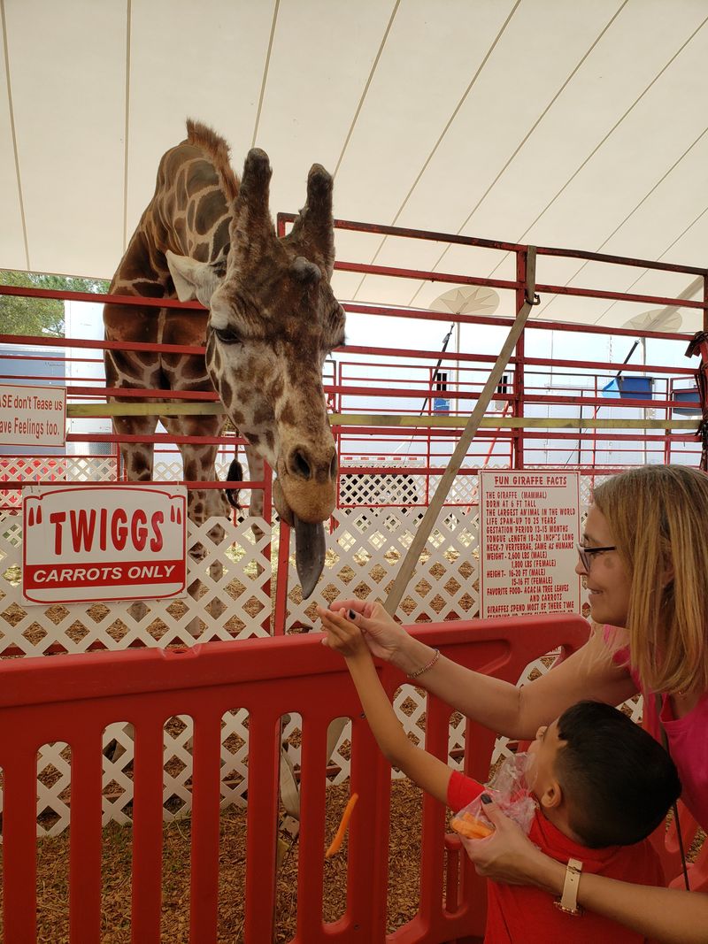 Animals and Exhibits Are a Built-In Break From the Midway