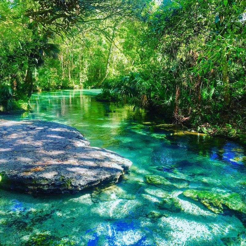 What Makes It So Crystal-Clear (Spring-Fed Water, Explained)