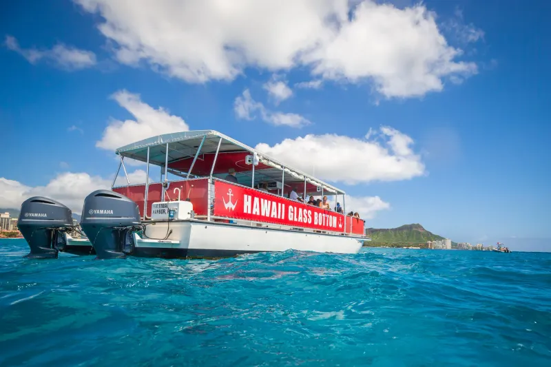 Go on a Glass-Bottom Boat Cruise