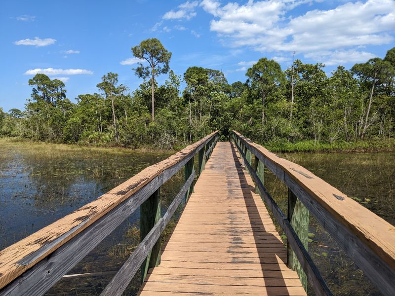Spruce Bluff Preserve (Port St. Lucie)