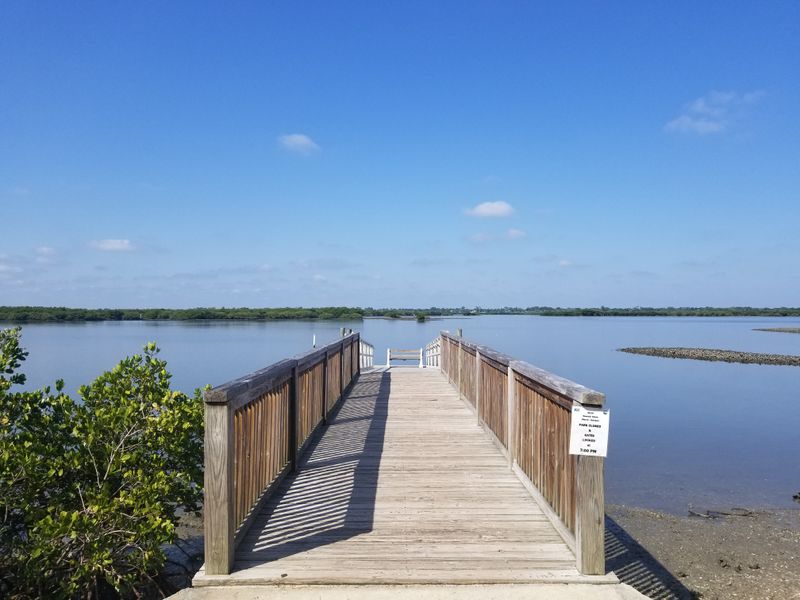 New Smyrna Beach (Atlantic Coast)