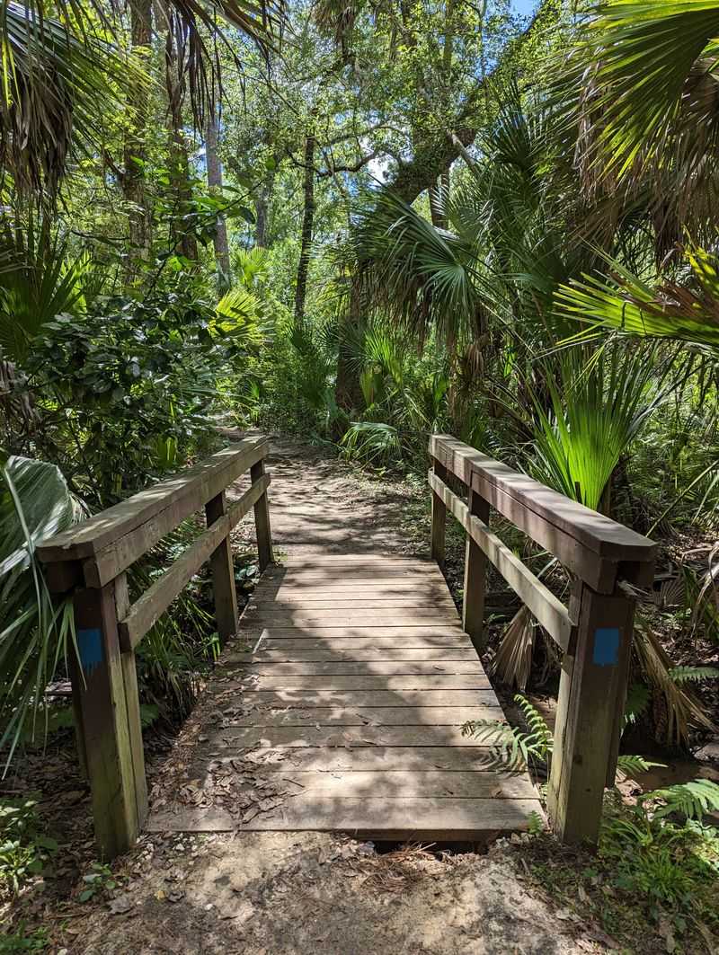 Ocala National Forest (Juniper Springs & Juniper Run)