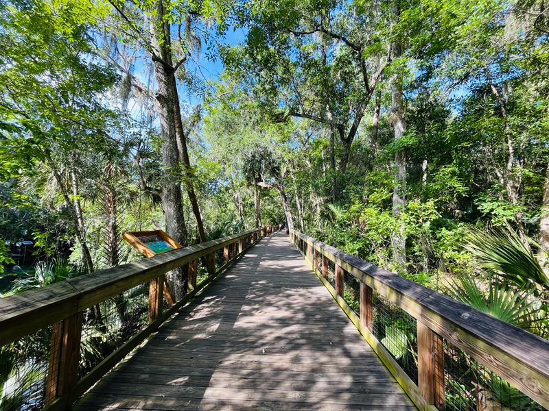 Blue Spring State Park – Orange City / Central Florida