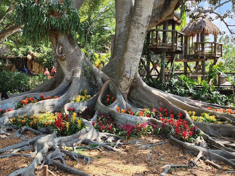 Marie Selby Botanical Gardens (Sarasota)