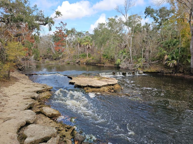 Why Steinhatchee Falls Feels So Unusual