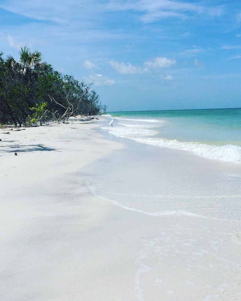 Caladesi Island State Park