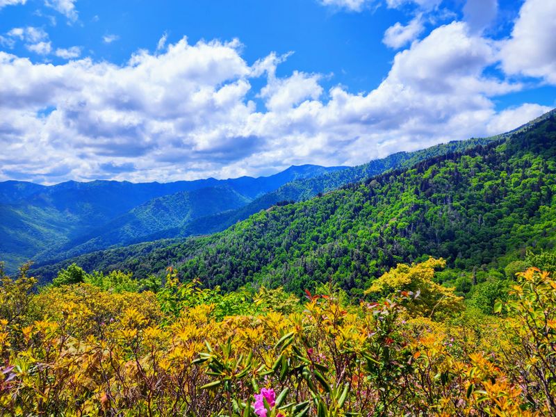 Great Smoky Mountains National Park