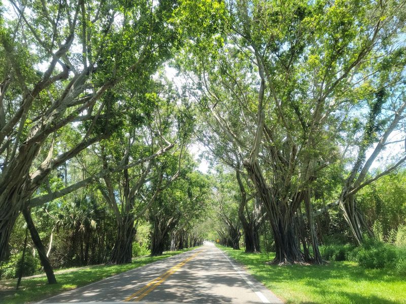 What To Expect After The 2024 Tornado