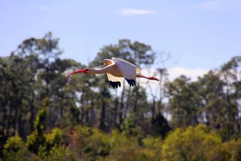 Practical Visiting Tips: Hours, Crowds, Comfort