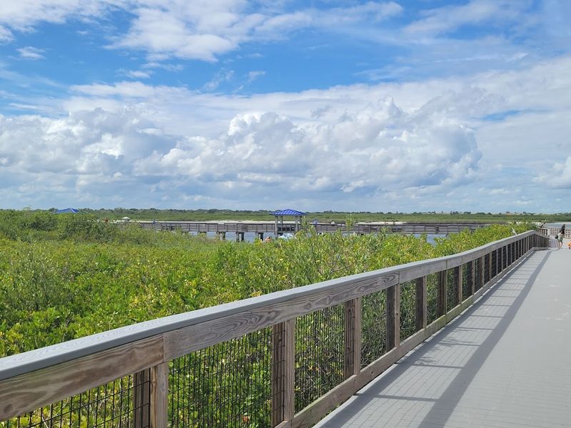 This Little-Known Florida Park Has Boardwalk Views That Feel Almost Unreal