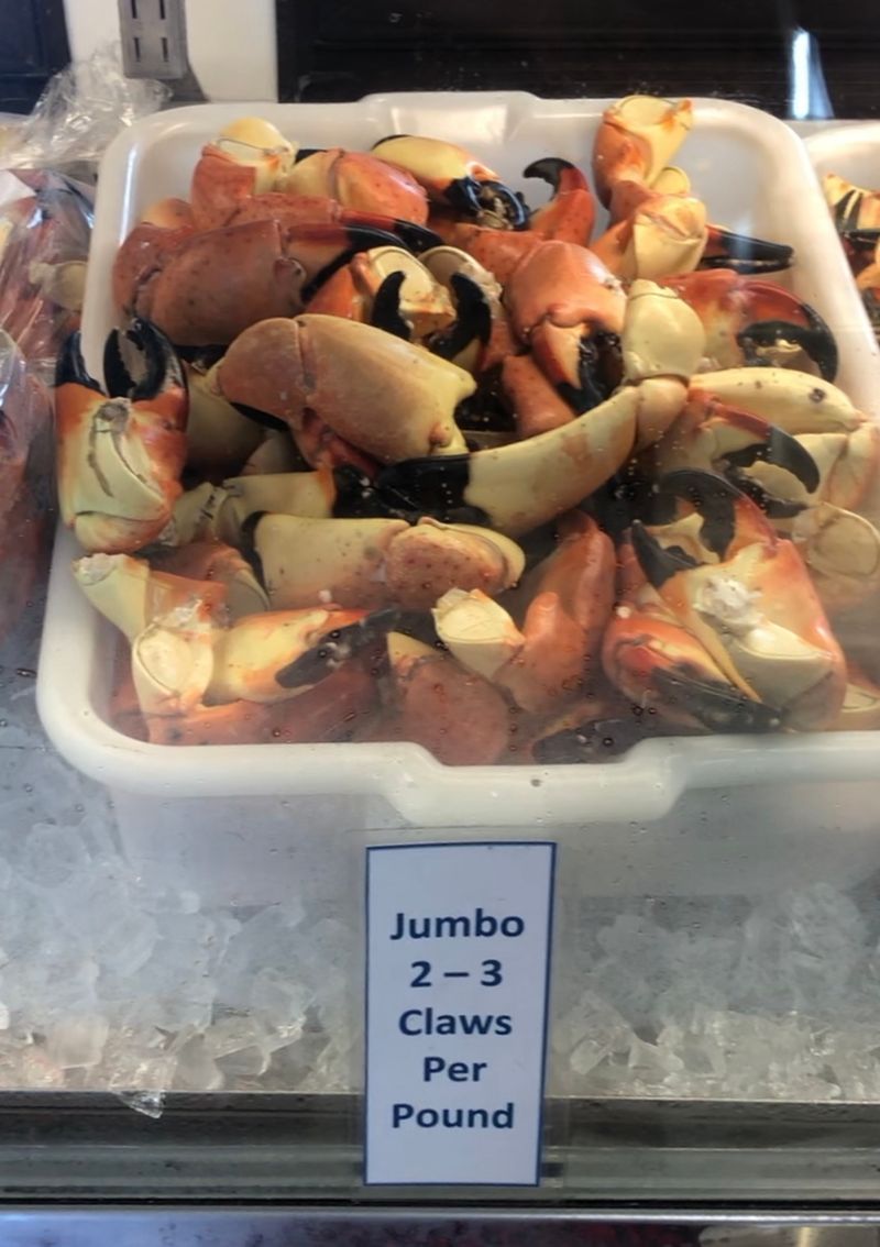 Grimm's Stone Crab (Everglades City)