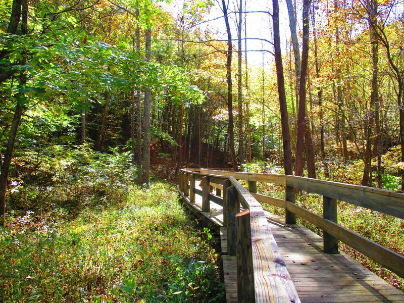 Wetlands Water Park and Creekside Wanders