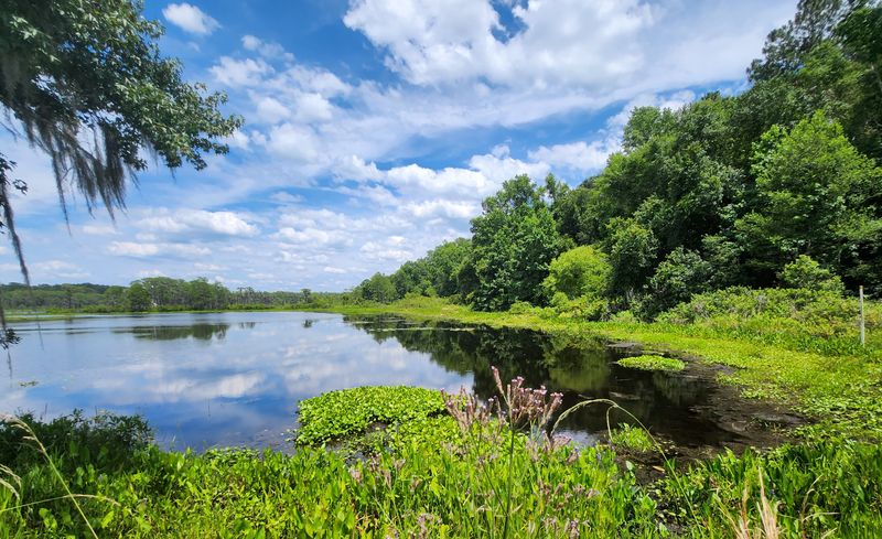 Rolling Hills and Red Clay Replace Flat Coastlines