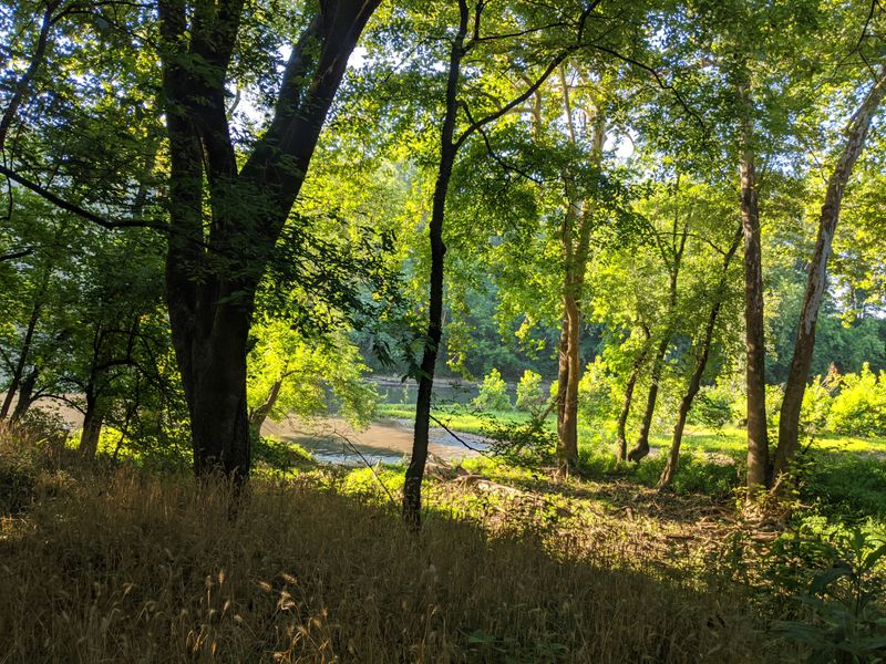 Henry Horton State Park (Chapel Hill)