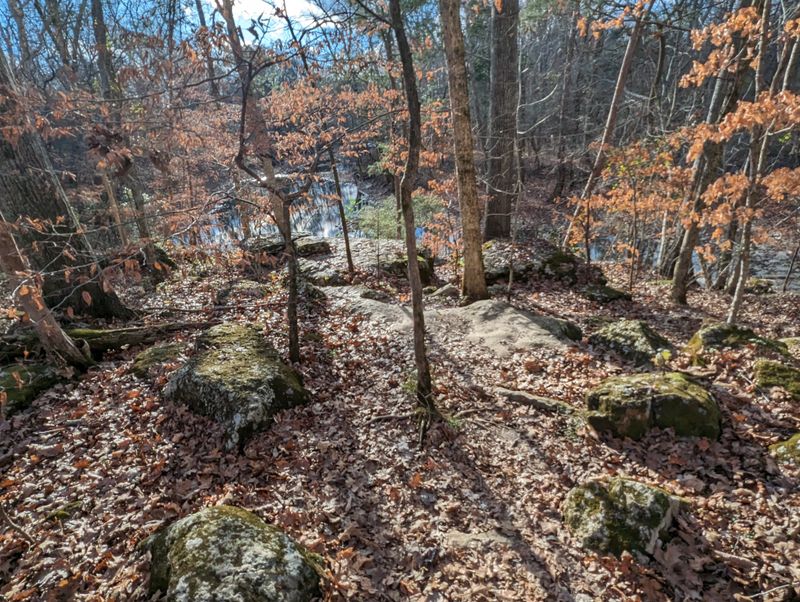 Hummingbird Festival (Murfreesboro)