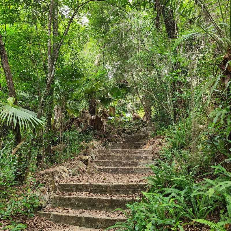 Ravine Gardens State Park (Palatka)