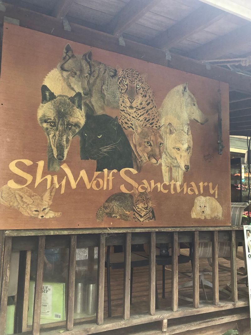 How to Support the Mission