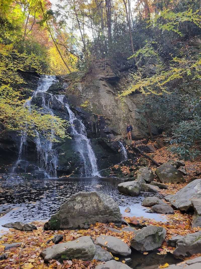 Spruce Flats Falls (Townsend)