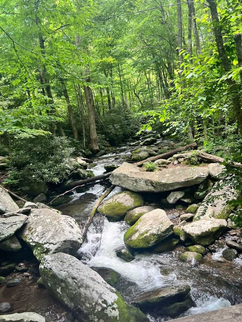 Baskins Creek Trail (Great Smoky Mountains)