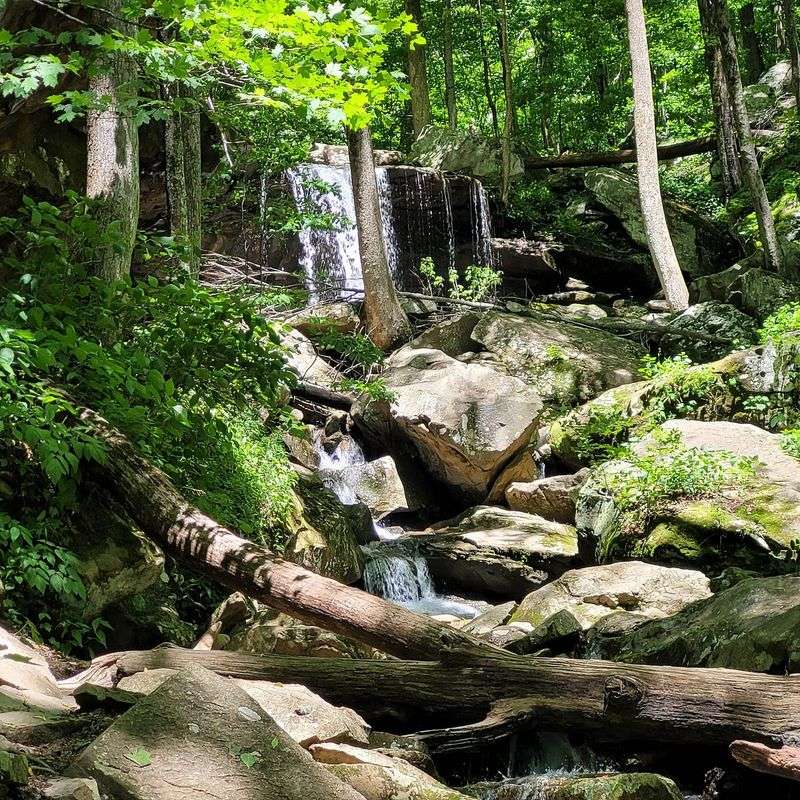 Frozen Head State Park (Wartburg)