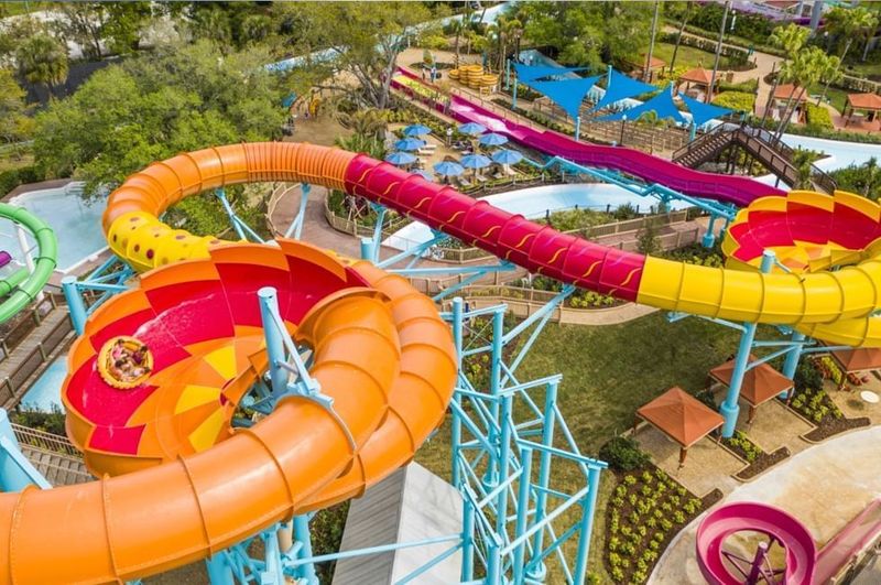 Colossal Curl: The Crowd Favorite Mega Slide