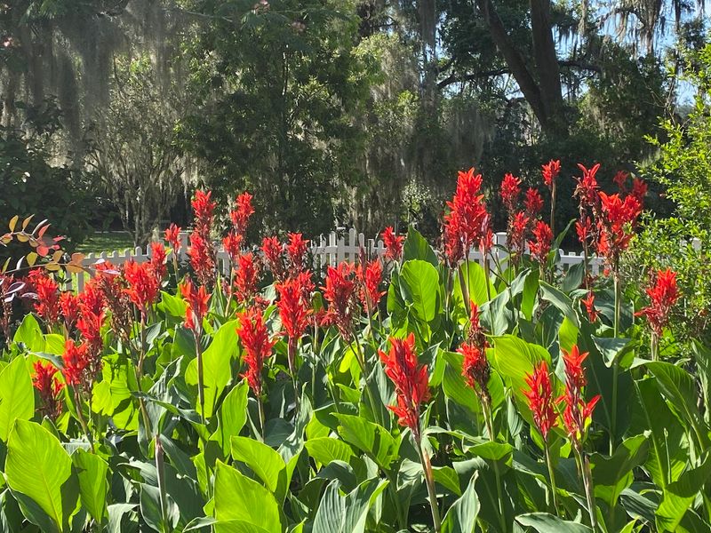 Kanapaha Botanical Gardens (Gainesville)