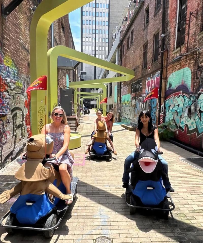 Ride The Plush Streets: What To Expect