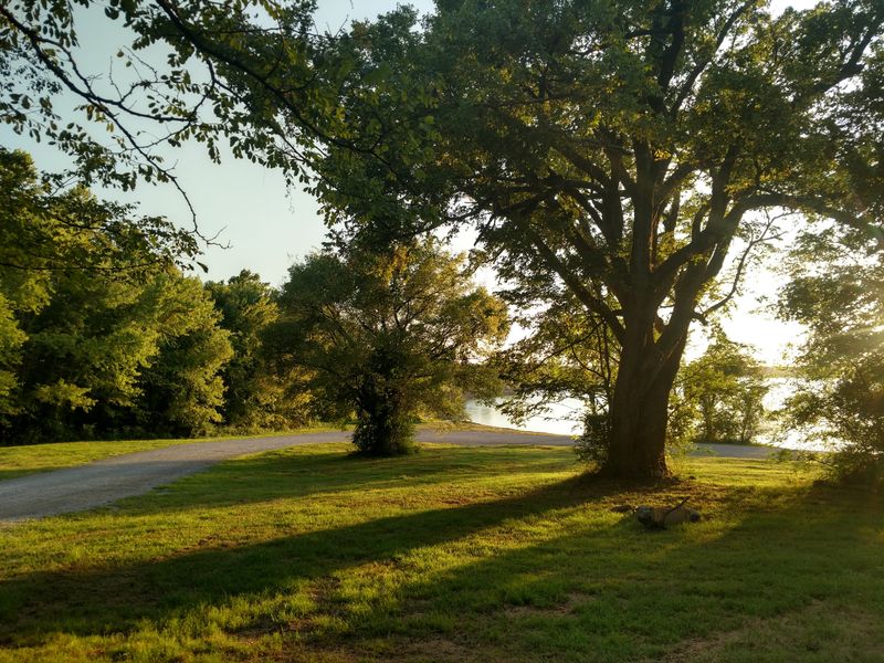North End of the Land Between the Lakes (Dover)