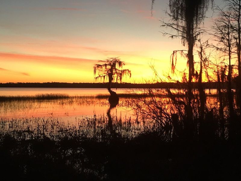 Lake City + Ichetucknee-region day trips (North Florida)