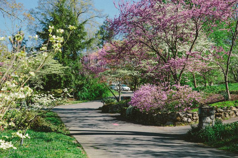 Dogwood Trails &ndash; Knoxville