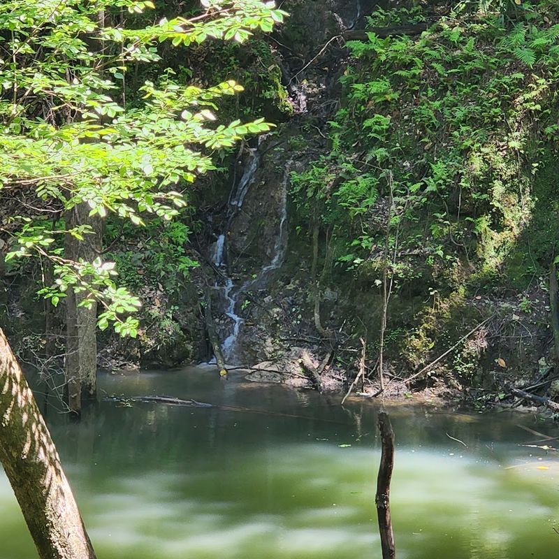 Devil’s Millhopper Falls (Gainesville)