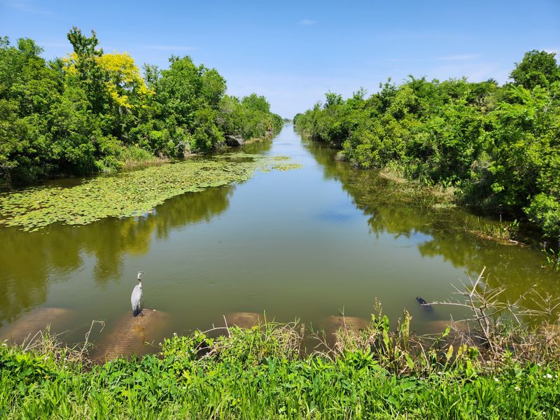 Green Mountain Scenic Overlook & Lake Apopka Trail