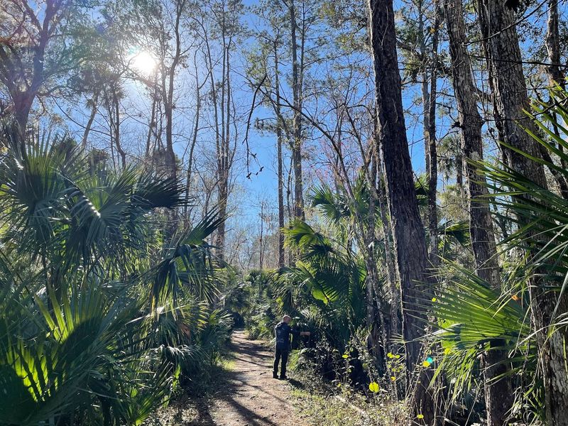 Black Bear Wilderness Loop Trail (near Sanford/Orlando)