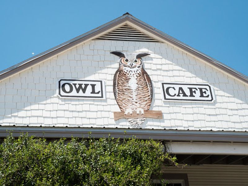 Owl Café