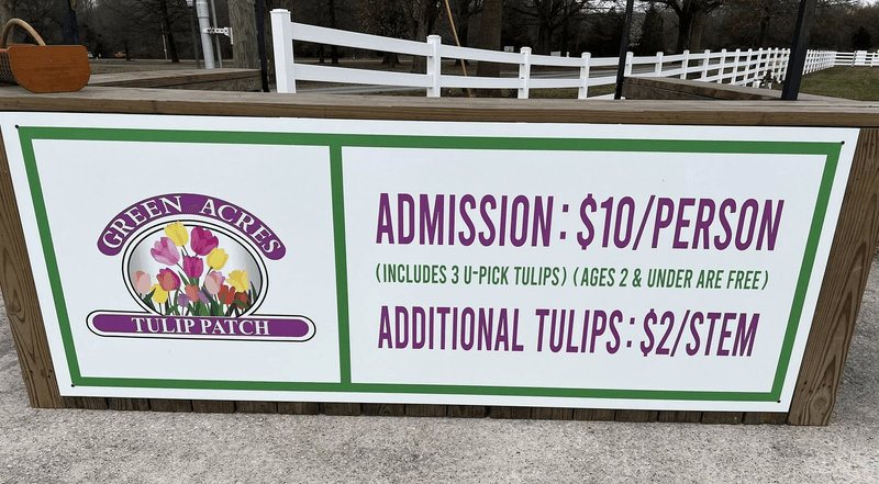 What to Expect When You Visit