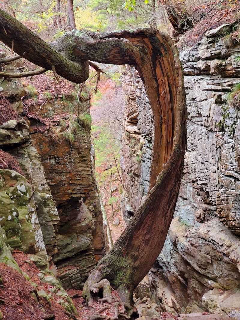 The Best Time of Year to Visit the Great Stone Door