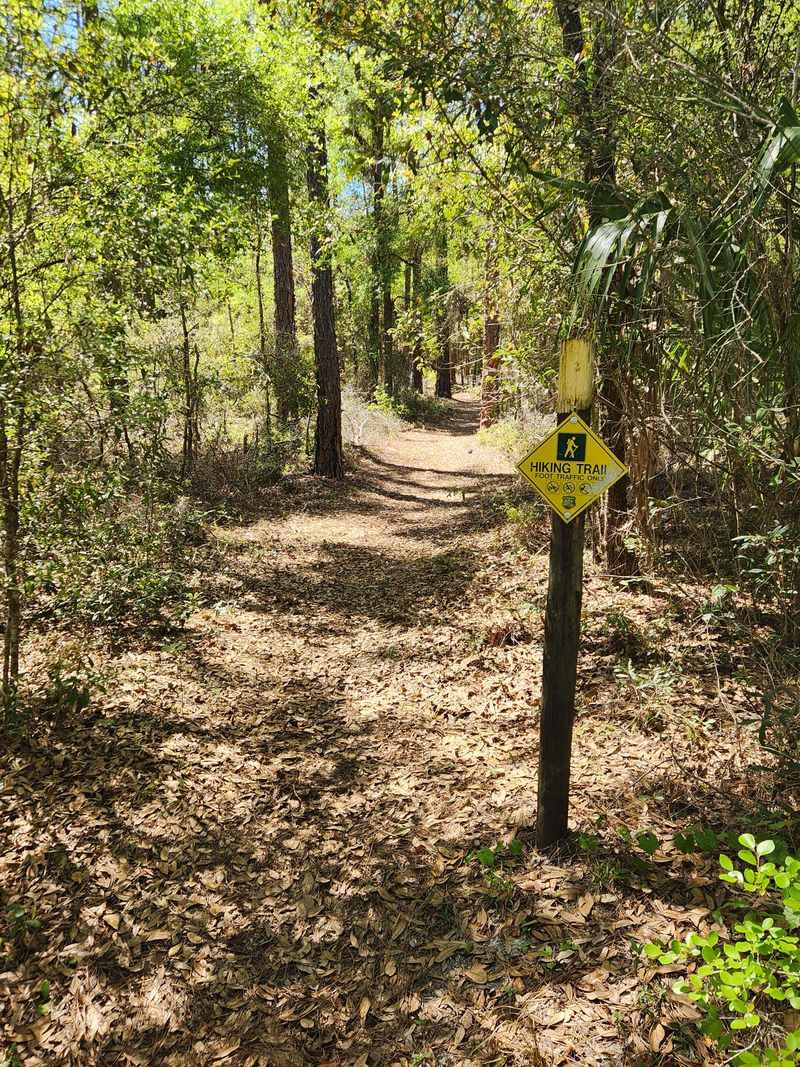 Safety, Access, and Timing Tips