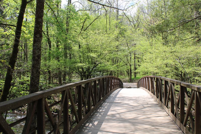 Gatlinburg Trail (Great Smoky Mountains National Park)