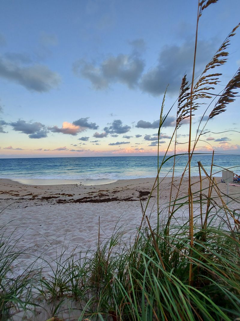 Sea Turtle Night Walks and Coastal Conservation