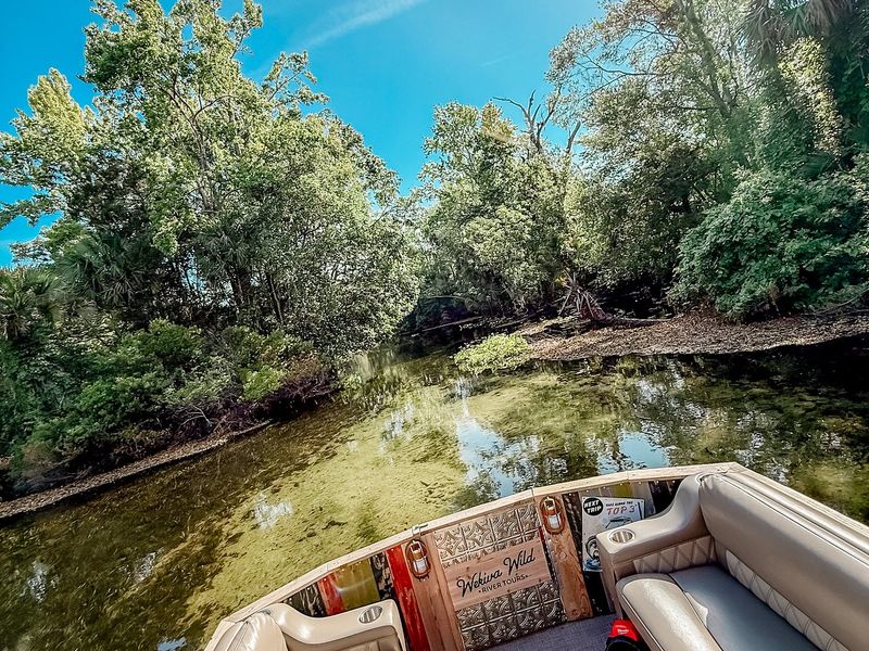 Safety + River Etiquette (Gators, Swimming Smarts, Leave No Trace)