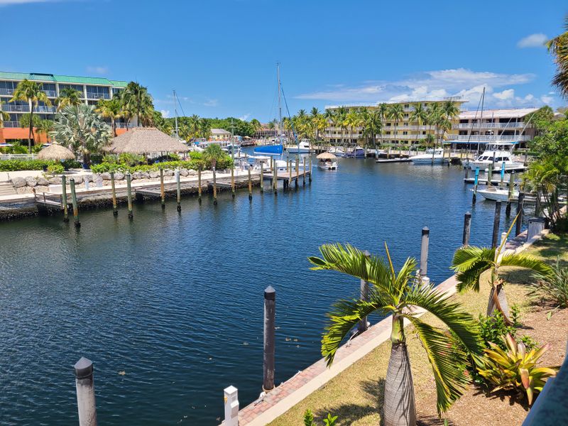 Snorkeling the Reefs off Key Largo