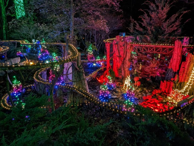 Holiday LIGHTS at Cheekwood (Nashville)