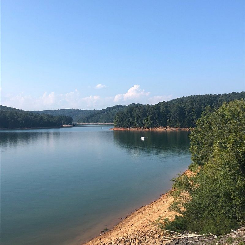 Clinch River (Norris)