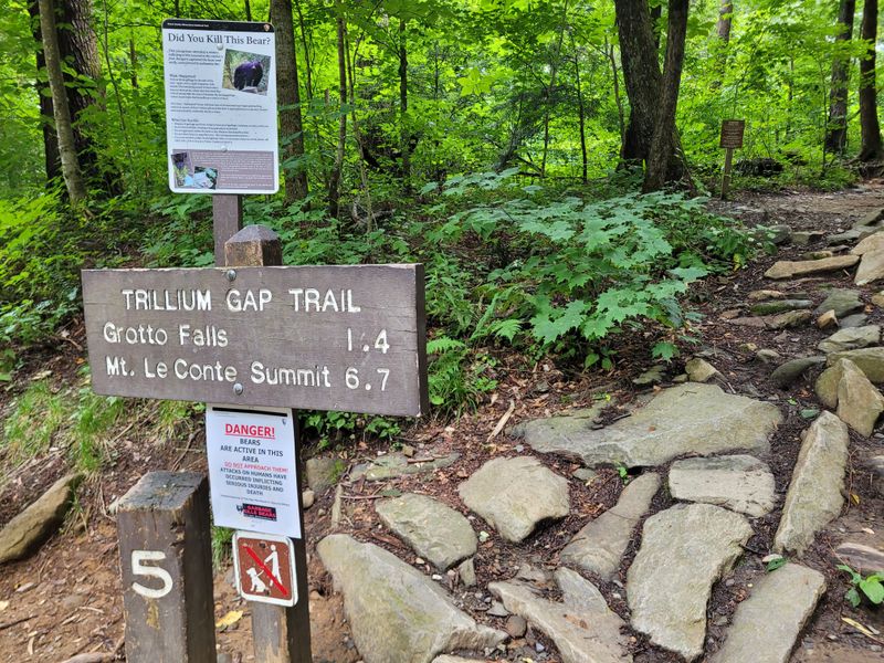 Where to Find Grotto Falls (Trillium Gap Trail Details)