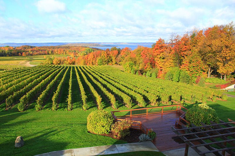 Michigan's Wine Country