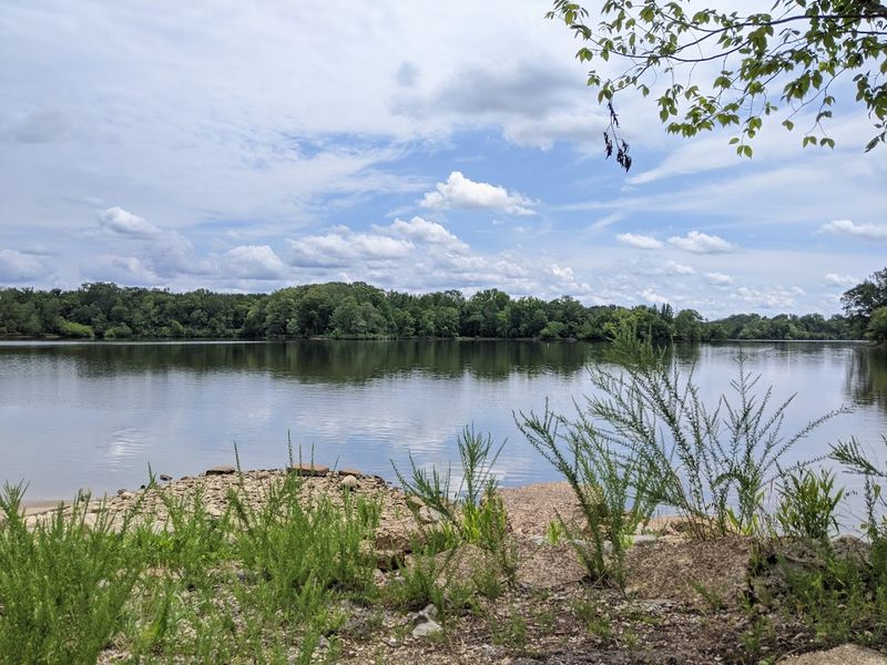 Tennessee National Wildlife Refuge