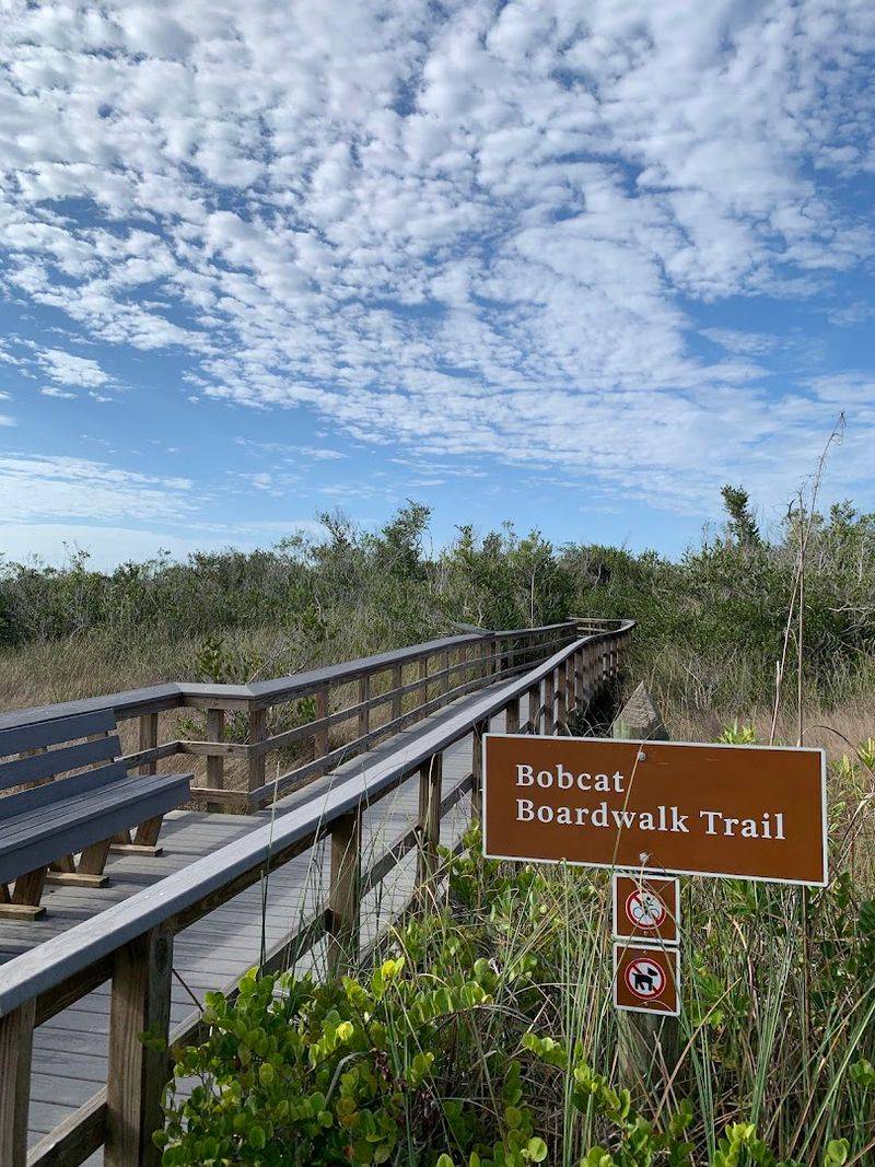 What To Bring For A Short, Easy Walk